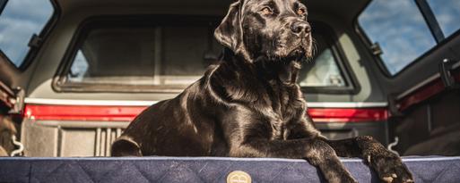 How To Wash A Dog Bed Le Chameau